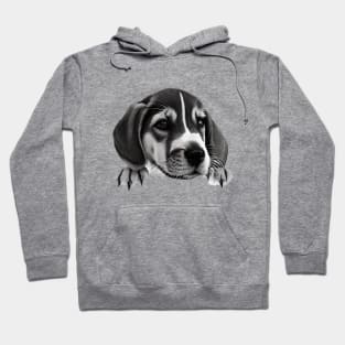 American Foxhound Puppy Hoodie